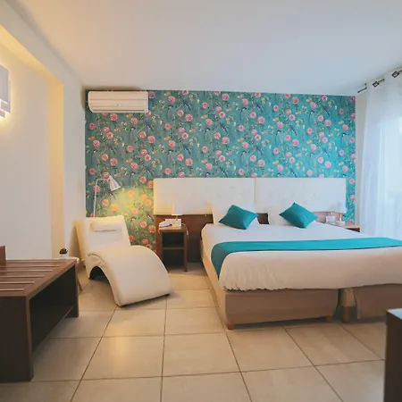 Holidays & Work Sanary-sur-Mer